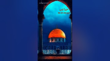 القرآن الكريم سورة يس الآية 56~57~58