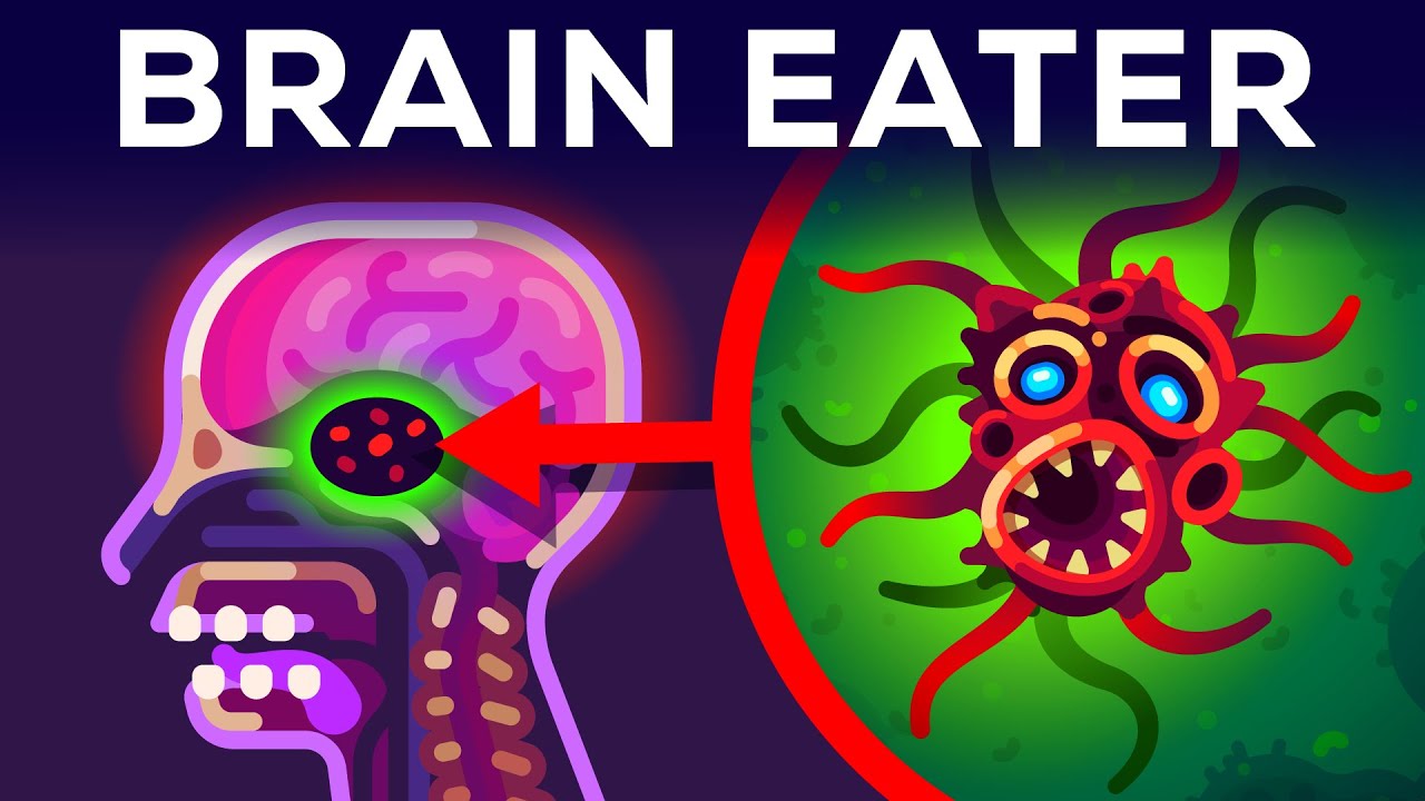 Eat brain