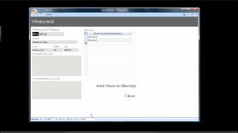 VM Part I - Vineyard Setup.wmv