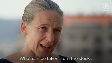 Common Oceans Program