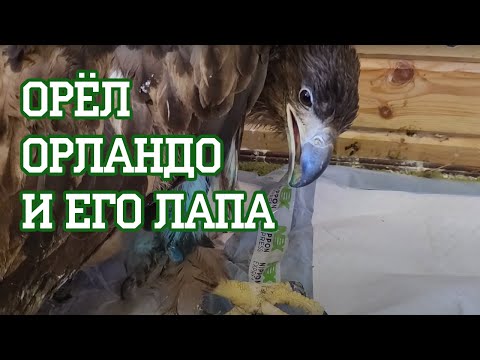 Вера, это ради контента!