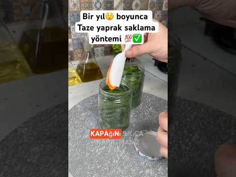Bir yıl boyunca