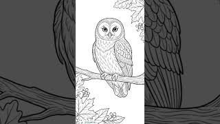 🌿 BIRDS & BOTANICAL BEAUTY 🌸🦋Slow down.