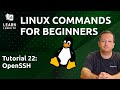 Linux Commands for Beginners 22 - Remote Management with OpenSSH