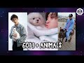 Got7 With Animals