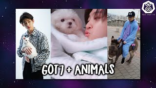 Got7 With Animals