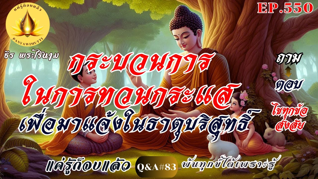 EP.550 (Q&A)#83  กระบวนการในการทวนกระแส เพื่อมาแจ้งในธาตุบริสุทธิ์ (ถาม-ตอบ) ปัญหาธรรมะ