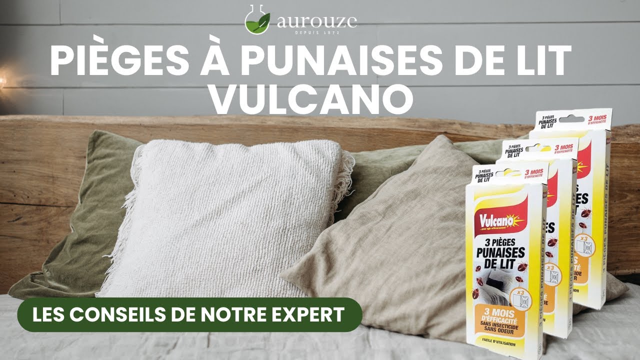 Pièges Anti-punaises De Lit Omniguard – Lot De 4 Réutilisables – Action Détection, Blocage Et Traitement Naturel – Sans Insecticide - 7