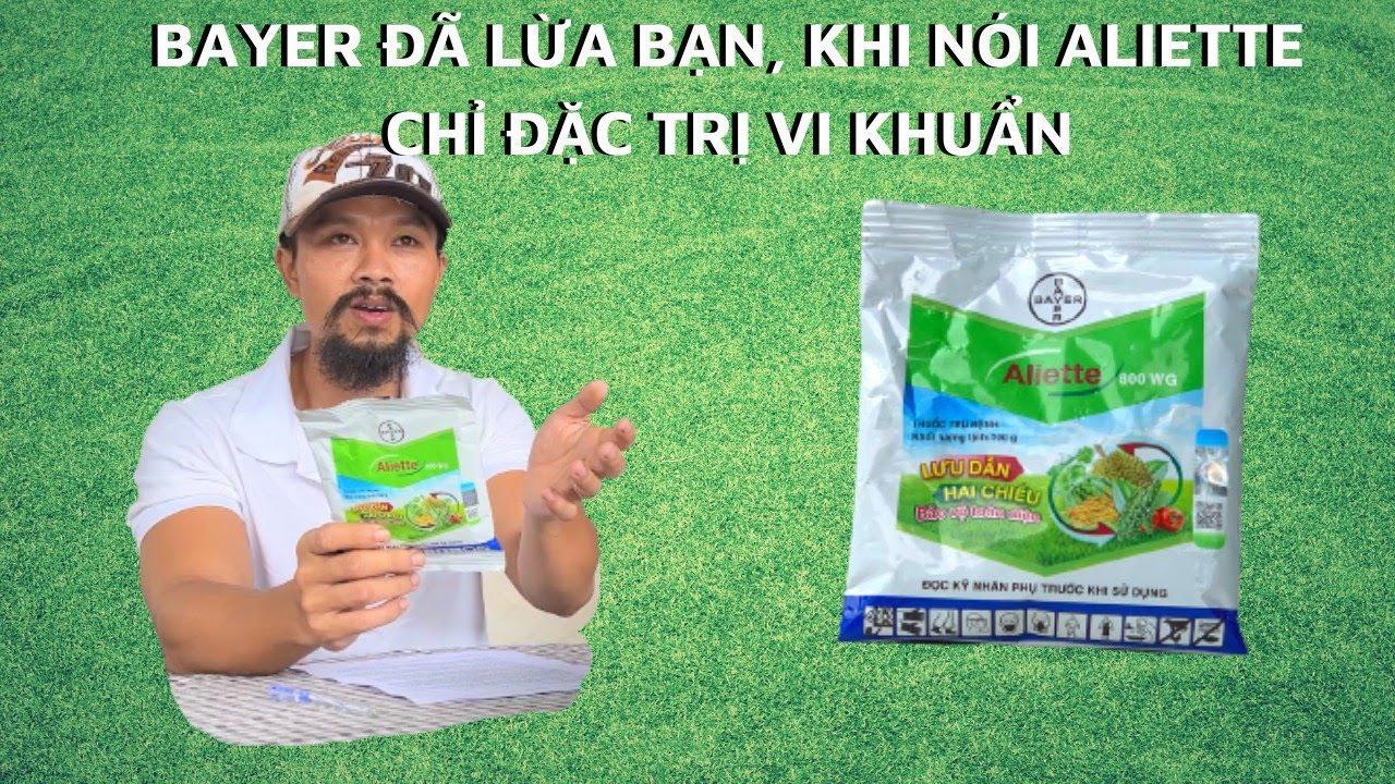 ALIETTE 800WG BAYER CÓ PHẢI THUỐC CHỈ ĐẶC TRỊ VI KHUẨN- CÙNG ĐIỀN RÂU TÌM HIỂU