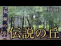 伝説の丘を目指します！そこは湧水天国です【神奈川県座間市】