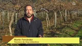 Programa A Labranza