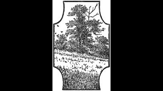 Heidi, By Johanna Spyri. Chapter 6 - Clara, The Patient Little Invalid. Read By Sascha Cooper