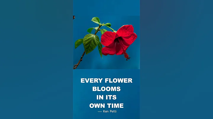 perfect blooming flower in time lapse - DayDayNews