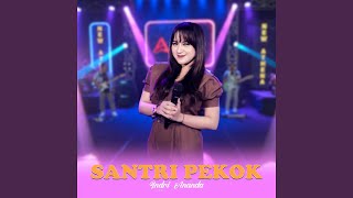 Santri Pekok (Live)