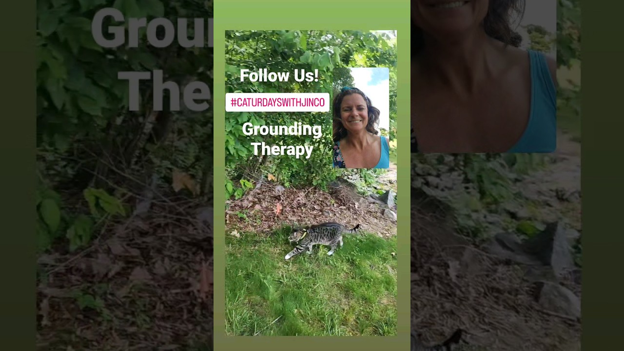 Grounding on CATURDAYS 