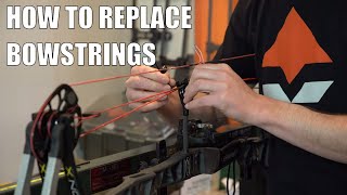 Celebrity Archery Tips: How To Replace Strings And Cables On Your Bow Net Worth