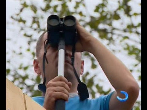 ნადირობის ქართული ტრადიციები ფრინველების ფესტივალზე მოწვეულ ექსპერტებს გააცნეს