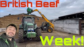 Will it Stay Dry? Ploughs Out! British Beef Week Soon! Working With Cattle!