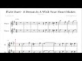 A Dream Is A Wish Your Heart Makes Flute Duet