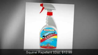 Find Best & Powerful Garden Squirrel Repellent