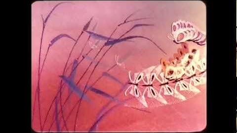 Sparrow and the Workshop - Odessa