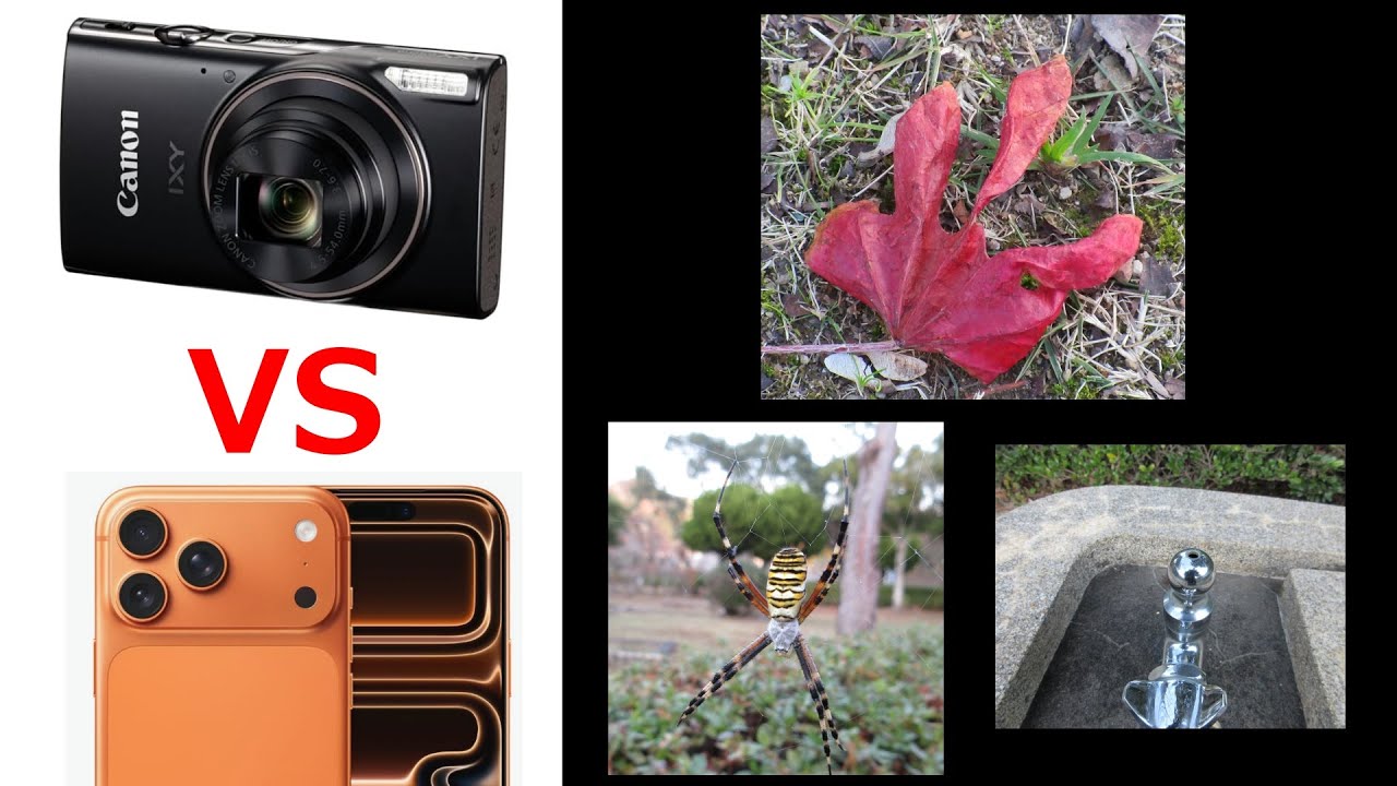 Comparing photos from Canon's latest compact digital camera, the
