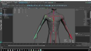 Human Setup Template - Quick Start