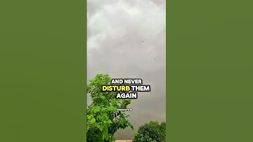 SIGMA RULE😎🔥~ IF SOMEONE IGNORE YOU ~ THOMAS SHELBY | SIGMASTATE | #sigma #motivation #shortsvideo