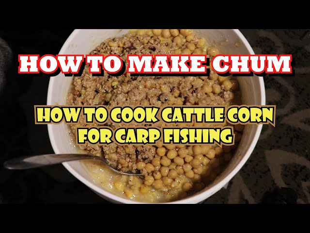 HOW TO COOK- CATTLE CORN FOR CARP FISHING (HOW TO MAKE CHUM) 