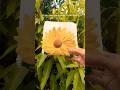 From clay to magic 🌻 Handmade tissue holder 💛#theroshni #diy #art #craft #artshorts #yt #clayart