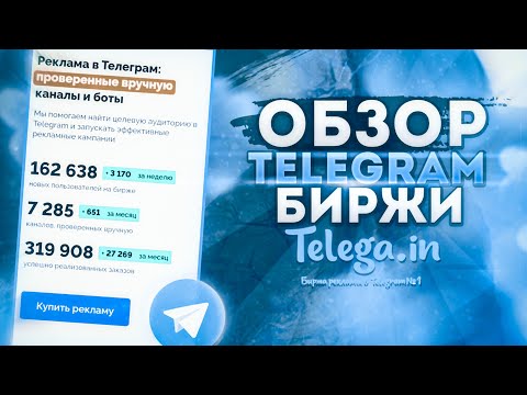 Продвижение в Телеграм каналах | Как пользоваться биржей рекламы Телега.ин
