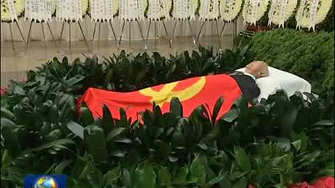 葉選平遺體在廣州火化  兒子葉新隆、兒媳婦夏霓霓 - 天天要聞
