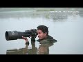 NIKON Z9 and 100-400mm Wildlife Short Video  #UNSTOPPABLE