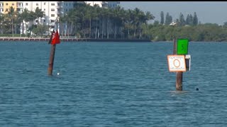Father Killed, Son Hurt In Hit-And-Run Boat Crash On Biscayne Bay