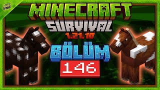 BÜTÜN ATLARI BULDUM! • BÖLÜM 146 • MINECRAFT SURVIVAL • #hmfsurvival