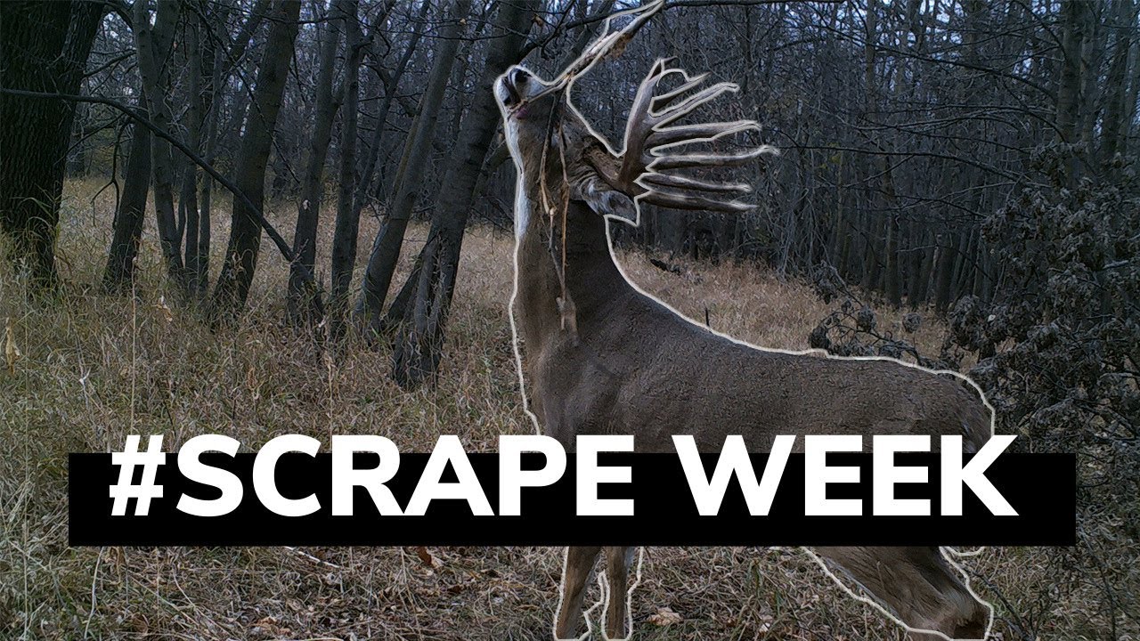 Hunting Scrapes And October With The Hunting Public Interview YouTube