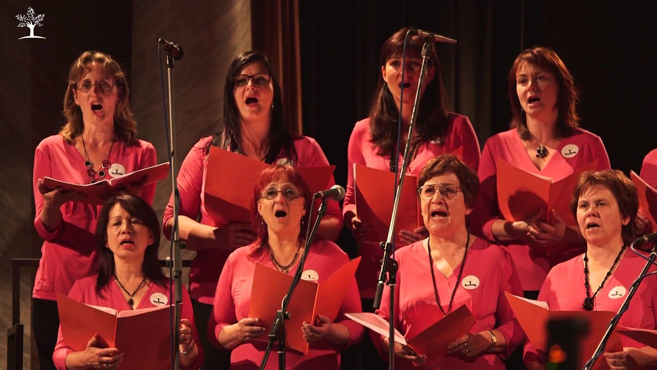 Plzeňské notování - 2015   Orbis Pictus - Mně se líbí paní nadlesní