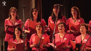 Plzeňské notování - 2015 Orbis Pictus - Mně se líbí paní nadlesní