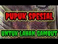 Pupuk spesial untuk lahan gambut