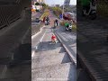 The dog crossed the road easily #shortsvideo