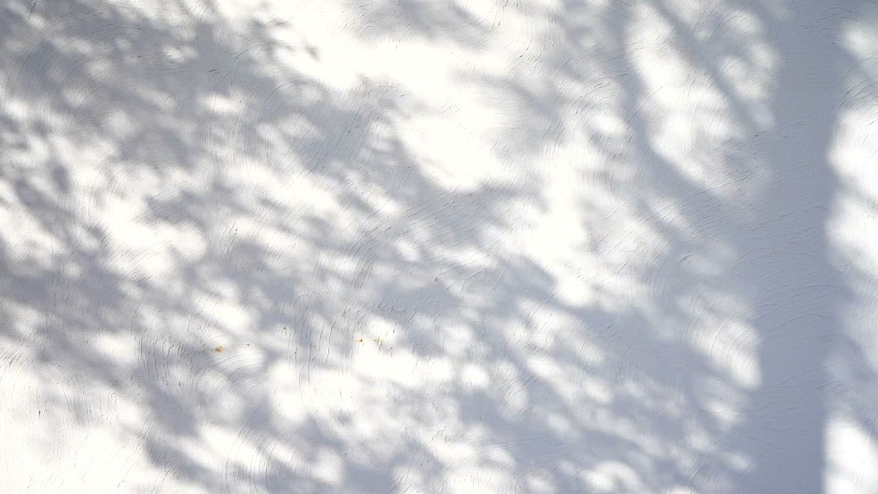 プロジェクターで部屋に木漏れ日を作り出せる動画