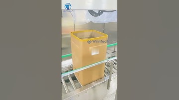 Secondary Bagging Machine on Paper Carton Box