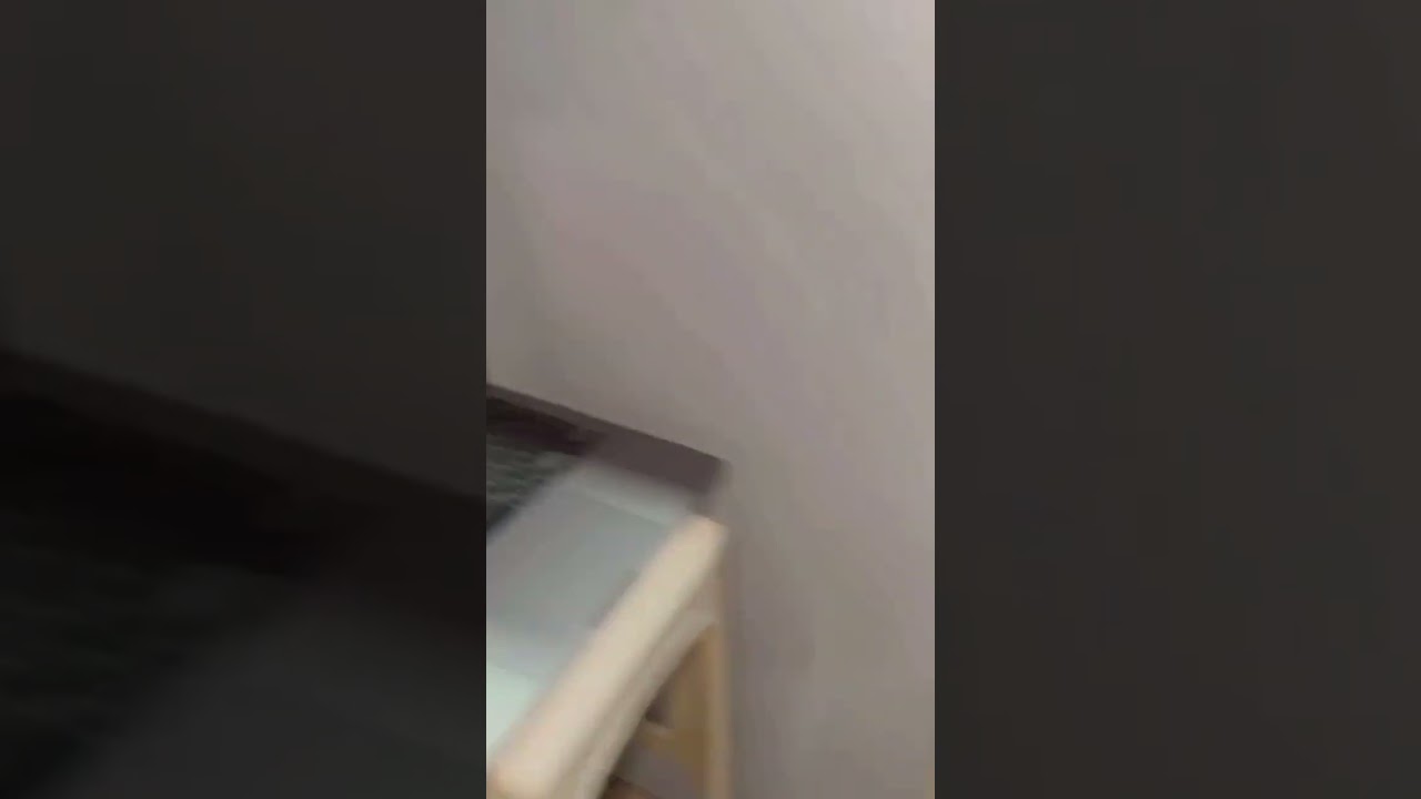 Quadriceps Control with MTrigger eccentric step down 