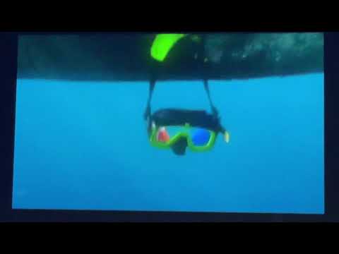 Finding Nemo lost the mask in widescreen