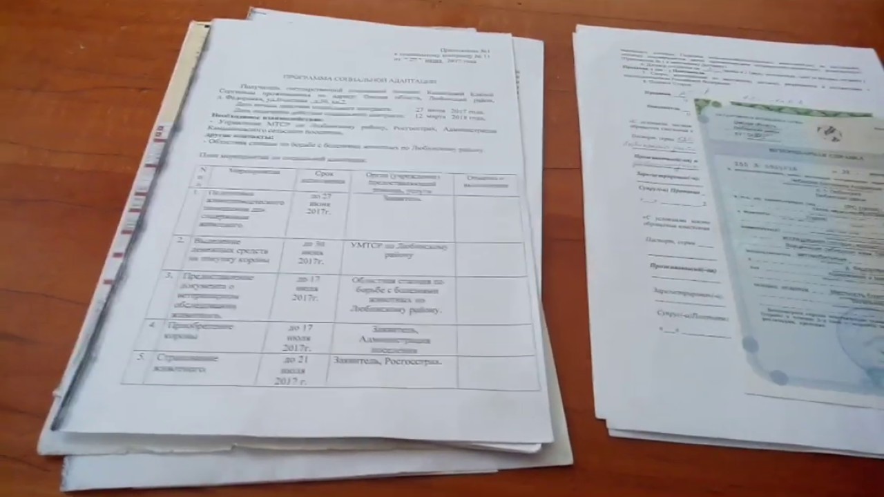 Соц контракт на машину