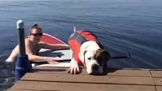Little Bit Closer Please Karen... Little Bit Closer... - A Translation Compilation