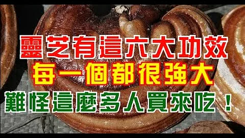靈芝有這六大功效，每一個都很強大，難怪這麼多人買來吃！ - 天天要聞