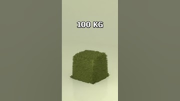 Grass simulation cloth simulation🧣#blender#3d#clothsimulation#3danimation#3dart#minecraft#asmr