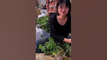 Công nghệ trồng cây