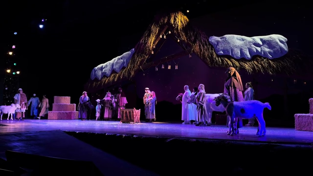 O’Wondrous Night SeaWorld Orlando Act VI